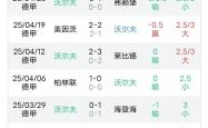 开云体育APP下载-沃尔夫斯堡擒下霍芬海姆，继续保持稳定状态的简单介绍
